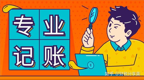 上海代理記賬及網(wǎng)絡(luò)技術(shù)服務(wù)費(fèi)用解析